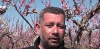 Λαρισαίος αγρότης χαρίζει δωρεάν τα νεκταρίνια του αντί να τα δώσει στους μεσάζοντες: «Δεν θα γίνω ο λαθρέμπορος της δικής μου σοδειάς» -kalimera-ellada.gr