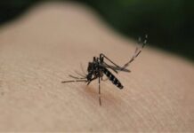 Ιός Δυτικού Νείλου: Χάρτης Κρουσμάτων – Ποιες Περιοχές Επηρεάζονται Περισσότερο