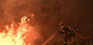 Φωτιά στο Μελιδοχώρι: Σύλληψη 35χρονου για την πυρκαγιά
