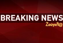 Ενισχυμένες δυνάμεις της Πυροσβεστικής κατά μέτωπο στη φωτιά του Μενιδίου – Δύσκολη η μάχη λόγω ισχυρών ανέμων