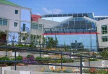 Άδεια Μητρότητας για Δημοτικές Συμβούλους: Το Π. Φάληρο ακολουθεί την Αθήνα