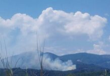 Συναγερμός Πυρκαγιών: 60 Φωτιές σε 24 Ώρες – Υψηλός Κίνδυνος Αύριο