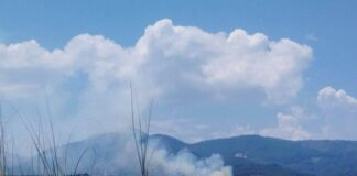 Συναγερμός Πυρκαγιών: 60 Φωτιές σε 24 Ώρες – Υψηλός Κίνδυνος Αύριο