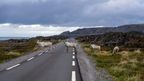 The lonely road to Europe’s Arctic edge