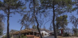 ΕΤΑΔ: Διαγωνισμός για την εκμίσθωση του Τουριστικού Περιπτέρου Μαραθώνα (pic) | Ειδήσεις για την Οικονομία