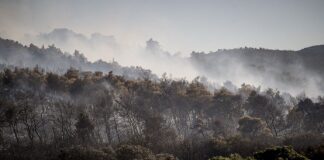 Φωτιά στην Οινόη: Δημιούργησε «δικό της καιρό» – Επεξηγείται η πυροεπαγωγική συμπεριφορά