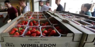 Wimbledon: Το εξεζητημένο γευστικό μενού των τενιστών – Από σούσι μέχρι ελάφι