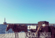 Φιλόζωοι: Εντατικοί έλεγχοι για τα άλογα των αμαξών στα Χανιά