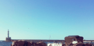 Φιλόζωοι: Εντατικοί έλεγχοι για τα άλογα των αμαξών στα Χανιά