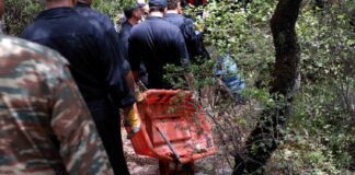 Επιχείρηση Διάσωσης στον Όλυμπο: Πεζοπόρος Χωρίς Αισθήσεις σε Δύσβατο Σημείο