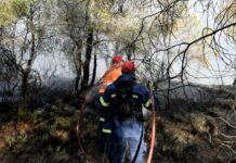 Ενισχυμένες Δυνάμεις Πυρόσβεσης στην Παναγία Βόνιτσας – Σημαντική κινητοποίηση για την κατάσβεση φωτιάς