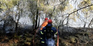 Ενισχυμένες Δυνάμεις Πυρόσβεσης στην Παναγία Βόνιτσας – Σημαντική κινητοποίηση για την κατάσβεση φωτιάς