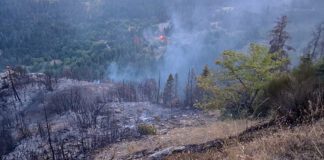 Φωτιά στη Σκύρο: Ενισχύσεις μάχονται τους ισχυρούς ανέμους