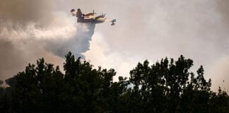 ΣΥΡΙΖΑ: Κυβέρνηση απένταξε Canadair από Ταμείο Ανάκαμψης, κατηγορεί για καταστροφή δασών