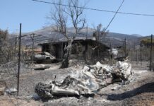 Δυτική Αττική: Η ΕΛΑΣ ζητά ανεξάρτητη έρευνα για αντιπυρικές ζώνες & έργα AntiNero