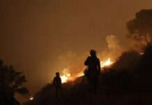 Κρήτη σε Υψηλό Κίνδυνο Πυρκαγιάς: Ολόκληρο το Νησί στο «Κίτρινο»