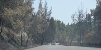 Κασσάνδρα: 4 εκατ. ευρώ για αποκατάσταση μετά τις φωτιές