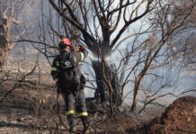 Φωτιά Ξέσπασε στο Γενέσι Τρικάλων: Ισχυρές Δυνάμεις Πυροσβεστικής και Δήμου σε Δράση