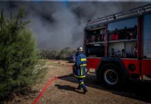 Φωτιά σε χαμηλή βλάστηση στη Χαλκίδα: Άμεση κινητοποίηση πυροσβεστικών δυνάμεων