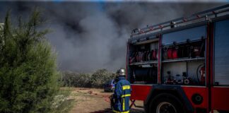Φωτιά σε χαμηλή βλάστηση στη Χαλκίδα: Άμεση κινητοποίηση πυροσβεστικών δυνάμεων