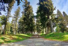 Τρίκαλα: Απαγόρευση κυκλοφορίας σε δάση λόγω υψηλού κινδύνου πυρκαγιάς