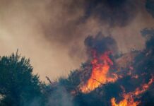 Σκύρος: Φλόγες σε δάσος – Εναέριες δυνάμεις στο έργο κατάσβεσης