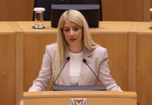 Αννίτα Δημητρίου: GSI, η ενεργειακή πύλη της Κύπρου προς το μέλλον