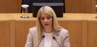 Αννίτα Δημητρίου: GSI, η ενεργειακή πύλη της Κύπρου προς το μέλλον