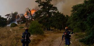 Δεκαπενταύγουστος: 9 Μποφόρ & Ακραίος Κίνδυνος Πυρκαγιάς – Προσοχή σε «Κόκκινες» Περιοχές