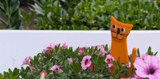 Οπτική Ψευδαίσθηση: Βρείτε τον κρυμμένο βάτραχο σε 10 δευτερόλεπτα!