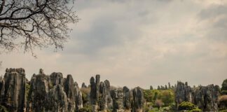 Πέτρινο Δάσος Γιουνάν: Θρύλοι, Τραγική Αγάπη & Απόκοσμη Φύση