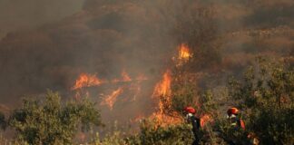 Πυρκαγιές: Οι κρυφοί κίνδυνοι μετά τις φλόγες – Προειδοποιήσεις ειδικού