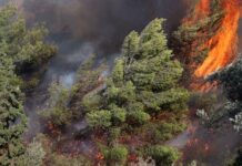 Πυροσβεστική: Ισχυρή σύσταση για αυξημένη προσοχή -Ακραίος κίνδυνος πυρκαγιάς σε Ρέθυμνο, Ηράκλειο, Λασίθι, Ρόδο και Κάρπαθο