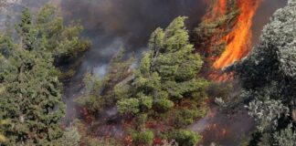 Πυροσβεστική: Ισχυρή σύσταση για αυξημένη προσοχή -Ακραίος κίνδυνος πυρκαγιάς σε Ρέθυμνο, Ηράκλειο, Λασίθι, Ρόδο και Κάρπαθο