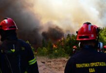 Φωτιά Ξέσπασε σε Δάσος στη Λάιστα Ιωαννίνων – Άμεση Κινητοποίηση Πυροσβεστικών Δυνάμεων