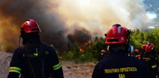 Φωτιά Ξέσπασε σε Δάσος στη Λάιστα Ιωαννίνων – Άμεση Κινητοποίηση Πυροσβεστικών Δυνάμεων