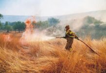 Υψηλός κίνδυνος πυρκαγιάς: 20 «καυτές» περιοχές – Πώς να ειδοποιήσετε για φωτιά
