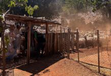 ΑΑΔΕ: Έλεγχοι Αγροτικών Επιδοτήσεων στην Κρήτη – 120 κτηνοτρόφοι απέτυχαν να προσέλθουν