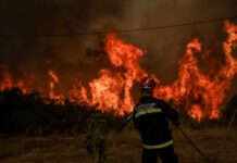 Πυροσβεστική: 53 φωτιές σε 24 ώρες – Συλλήψεις για εμπρησμό σε Μυτιλήνη, Πάτρα, Κάλαμο