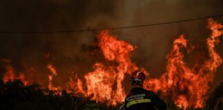 Πυροσβεστική: 53 φωτιές σε 24 ώρες – Συλλήψεις για εμπρησμό σε Μυτιλήνη, Πάτρα, Κάλαμο