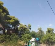 Σαλαμίνα: Απορρίμματα το καλοκαίρι – Παραλείψεις ή άρνηση αρμόδιων;