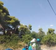 Σαλαμίνα: Απορρίμματα το καλοκαίρι – Παραλείψεις ή άρνηση αρμόδιων;