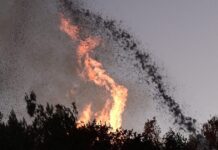 Ελεύθερος με όρους ο υπεύθυνος ΔΕΔΔΗΕ για εμπρησμό στον Ρέθυμνο