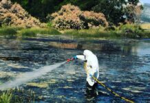 Αττική: 30% αύξηση ψεκασμών για κουνούπια έως 2029