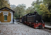 Ορεινός Τουρισμός: Οι Περιοχές που Κατακτούν τους Φυσιολάτρες & Αναζητητές Εμπειριών