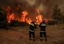 Συλλήψεις για φωτιές: Πρόθεση στα Τρίκαλα, αμέλεια στην Κάρυστο