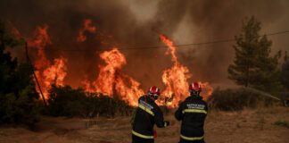 Συλλήψεις για φωτιές: Πρόθεση στα Τρίκαλα, αμέλεια στην Κάρυστο