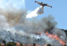 Φωτιά στην Ελάτεια Φθιώτιδας: Συναγερμός στην Πυροσβεστική – Άμεση κινητοποίηση δυνάμεων