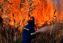 Κρήτη: Υψηλός κίνδυνος πυρκαγιάς την Παρασκευή – Προετοιμαστείτε