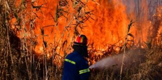 Κρήτη: Υψηλός κίνδυνος πυρκαγιάς την Παρασκευή – Προετοιμαστείτε